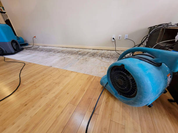 Professional Flood Damage Cleanup technician working in Tappan, NY